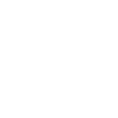 logo blanc holtz apiculture